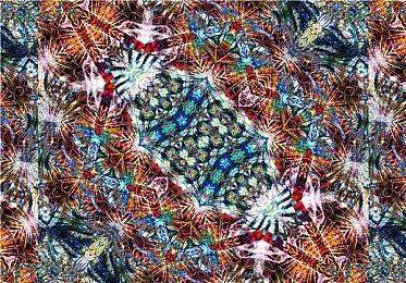 Roguelite第一人称射击游戏《Bear It》发布宣传预告